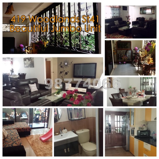 Woodlands Street 41 thumbnail photo
